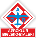 Custom Logo